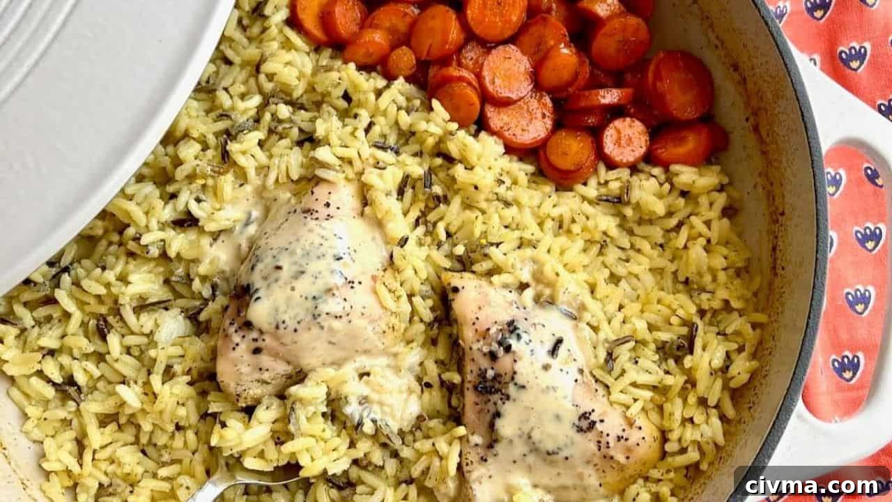 Dutch Oven Chicken and Rice