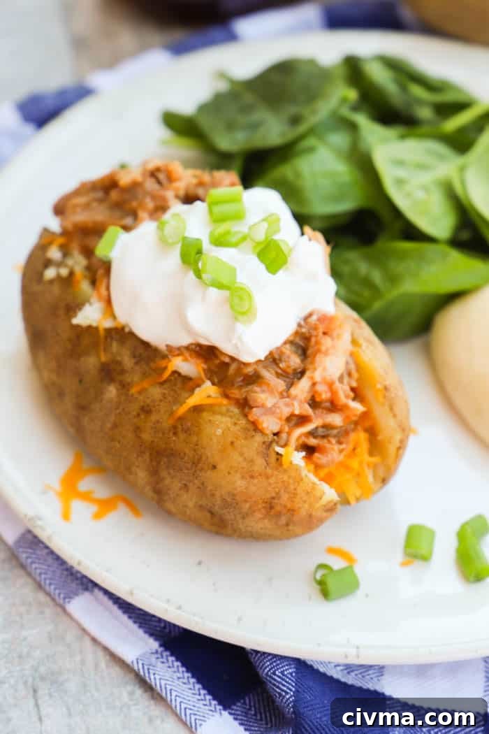 BBQ Pulled Pork Potato Skins on a white plate with salad