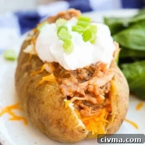 BBQ Pulled Pork Potato Skins