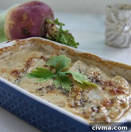 turnip gratin