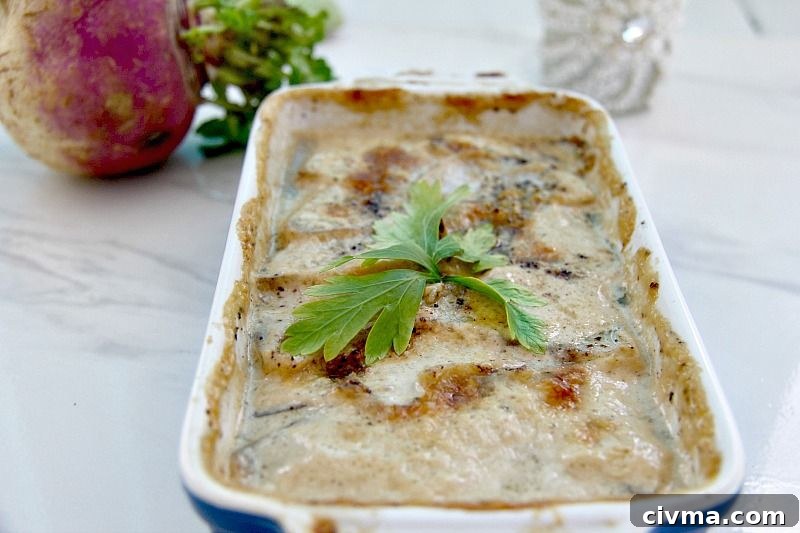 turnip gratin in a dish