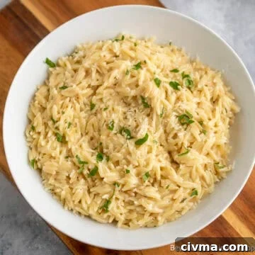 Creamy Orzo Pasta in a white bowl.