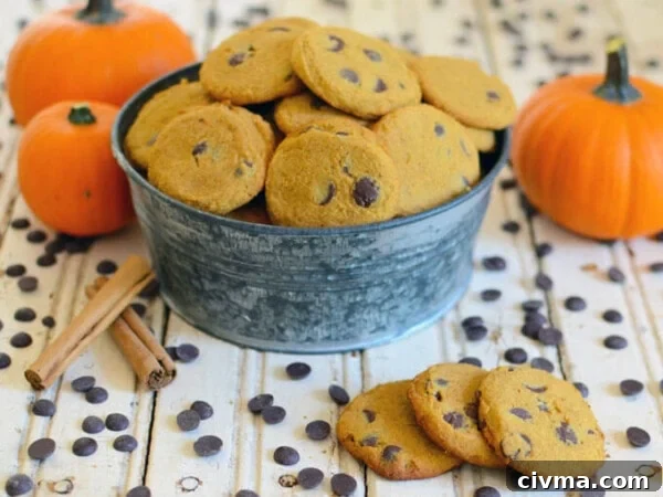 Paleo Pumpkin Spice Cookies Recipe