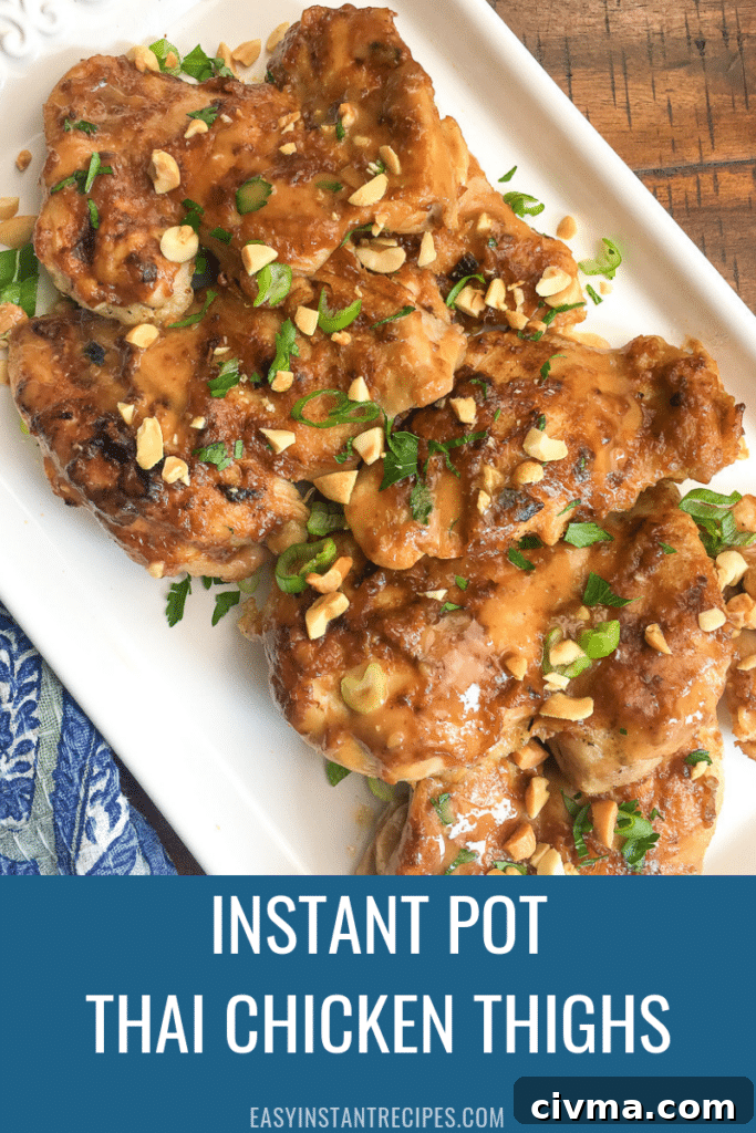 Served Thai Peanut Chicken