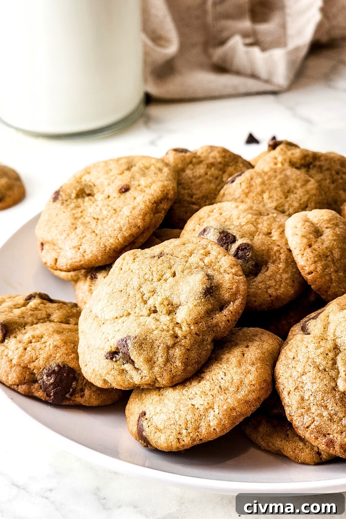 Up close image of gluten-free dairy-free chocolate chip cookies.