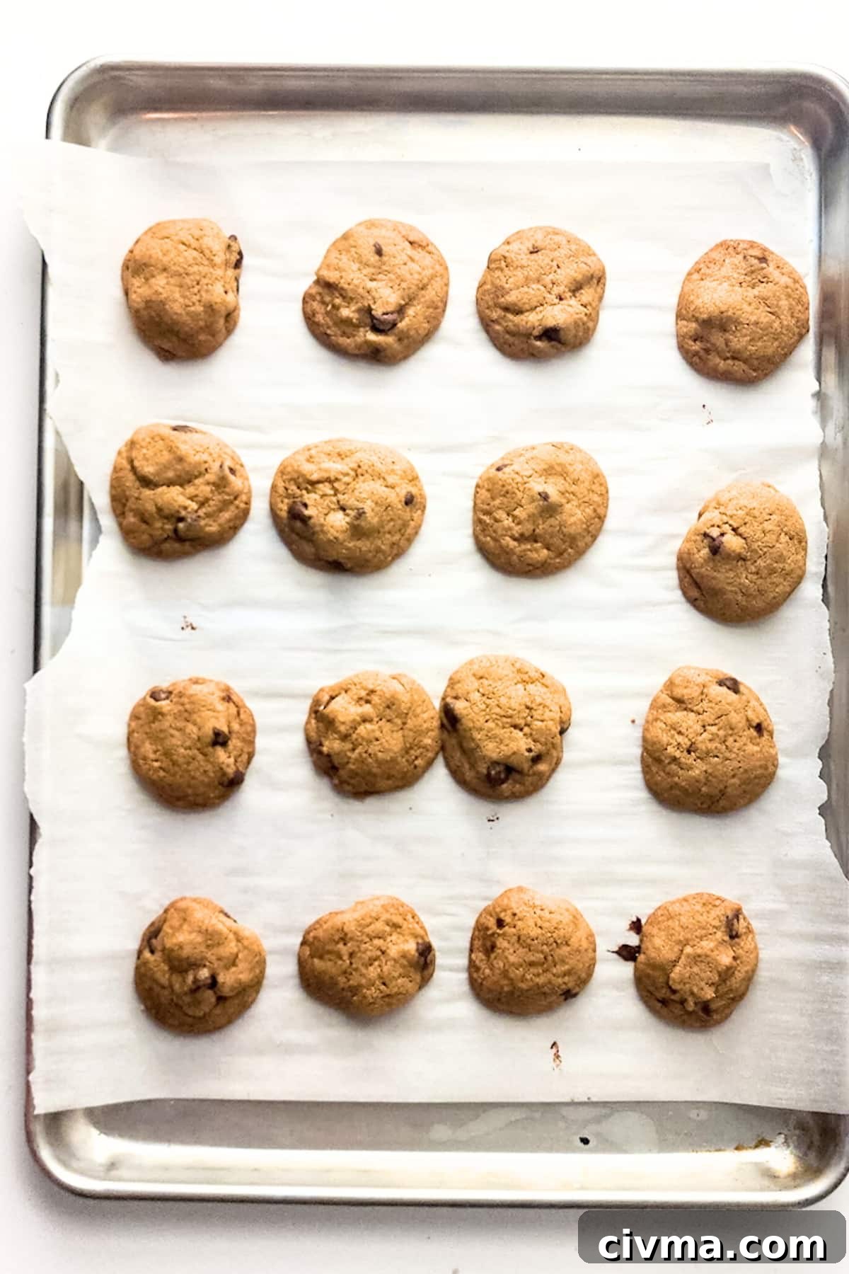 Freshly baked gluten-free dairy-free chocolate chip cookies on baking sheet.