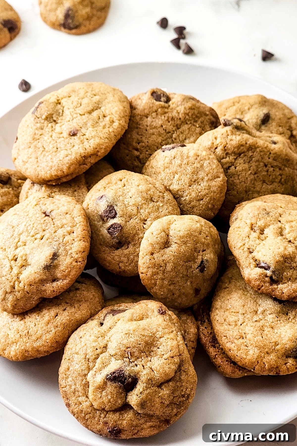 Up close shot of a plate of gluten-free dairy-free chocolate chip cookies.