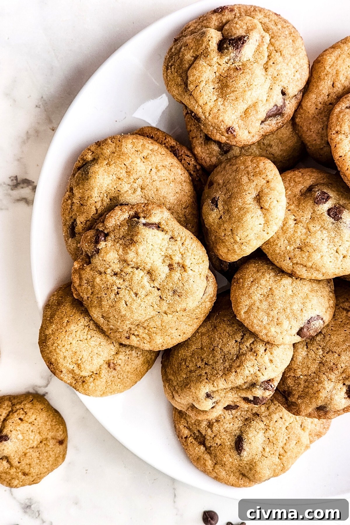 Top down view of a plate of dairy gluten-free chocolate chip cookies.