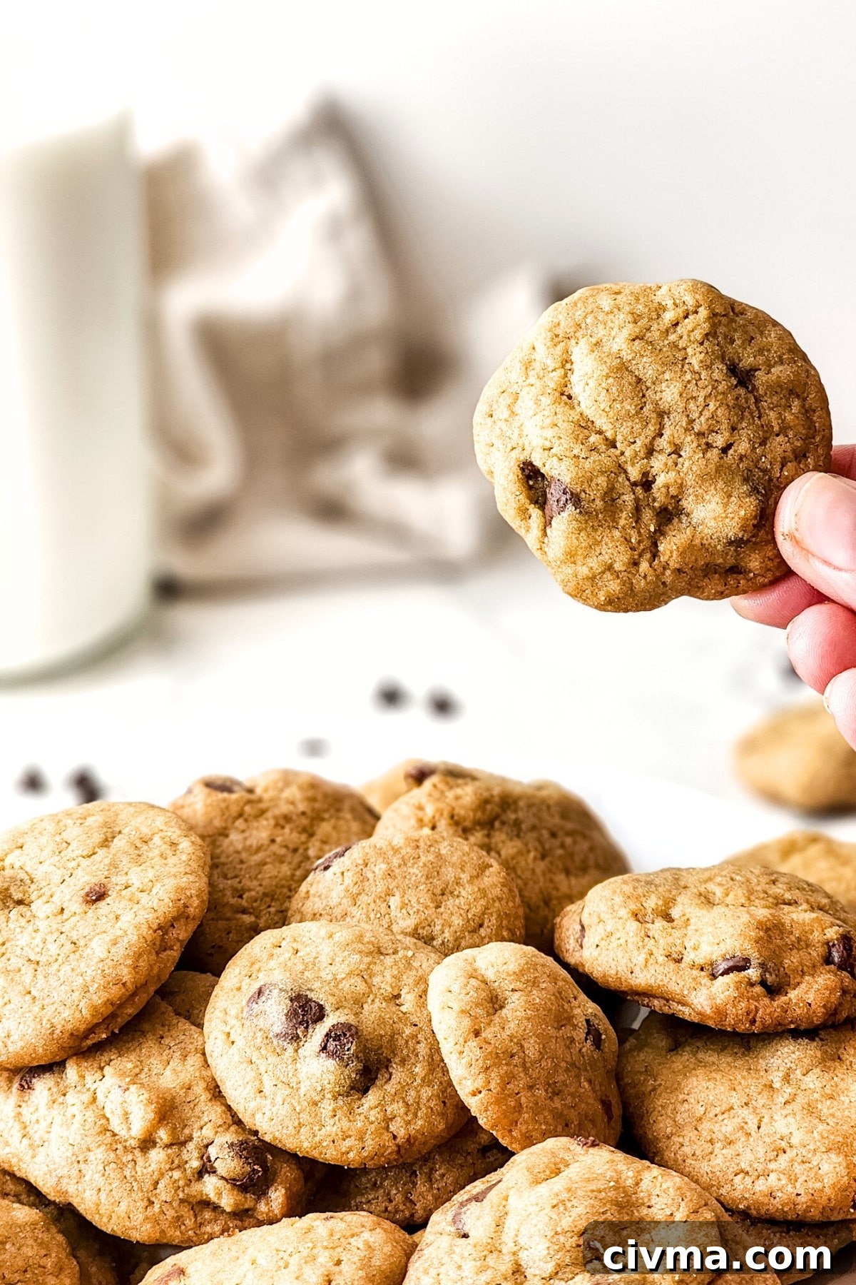 Holding up a gluten-free chocolate chip cookie from a plate of cookies.