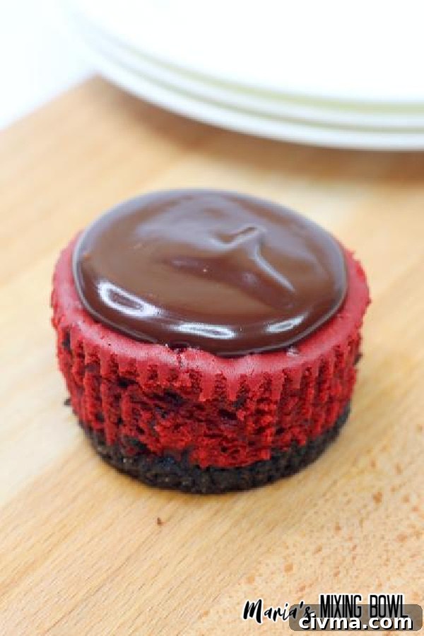 ganache on top of cheesecake