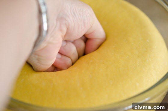 A fist is punching the dinner roll dough in a bowl to deflate.