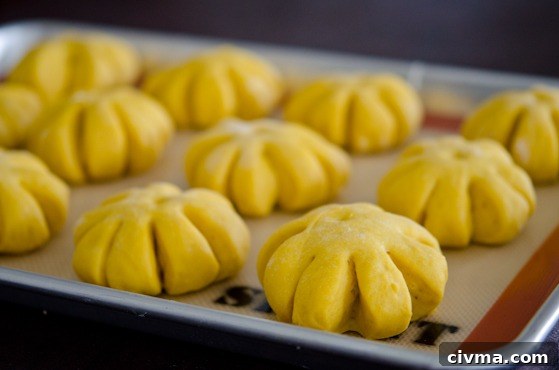 Pumpkin dinner rolls dough risen for the second time.