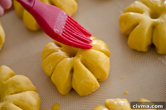 Brushing with egg wash to get golden look to these dinner rolls.