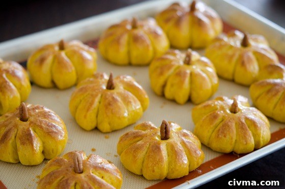 Pecan pieces inserted on top of pumpkin dinner rolls to resemble pumpkin stems