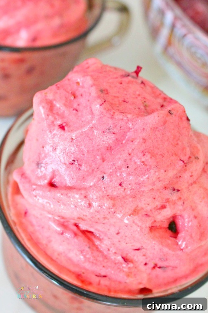 Close up image of dairy free and egg free ice cream with frozen fruit