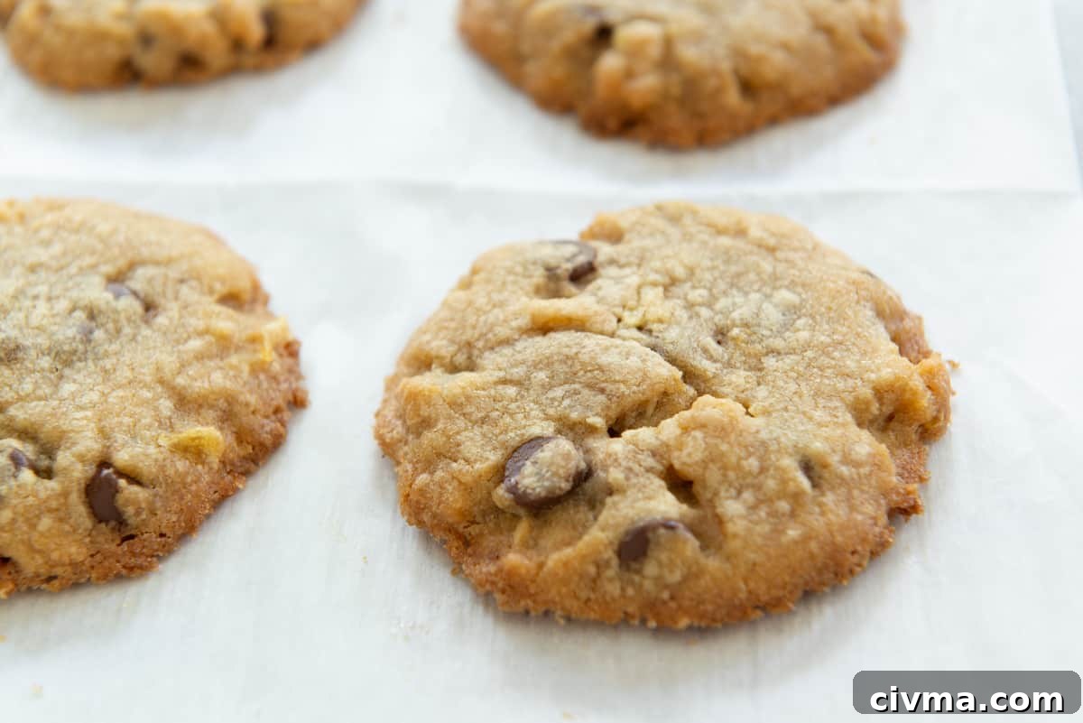 Closeup of Potato Chip Cookie On Parchment Paper