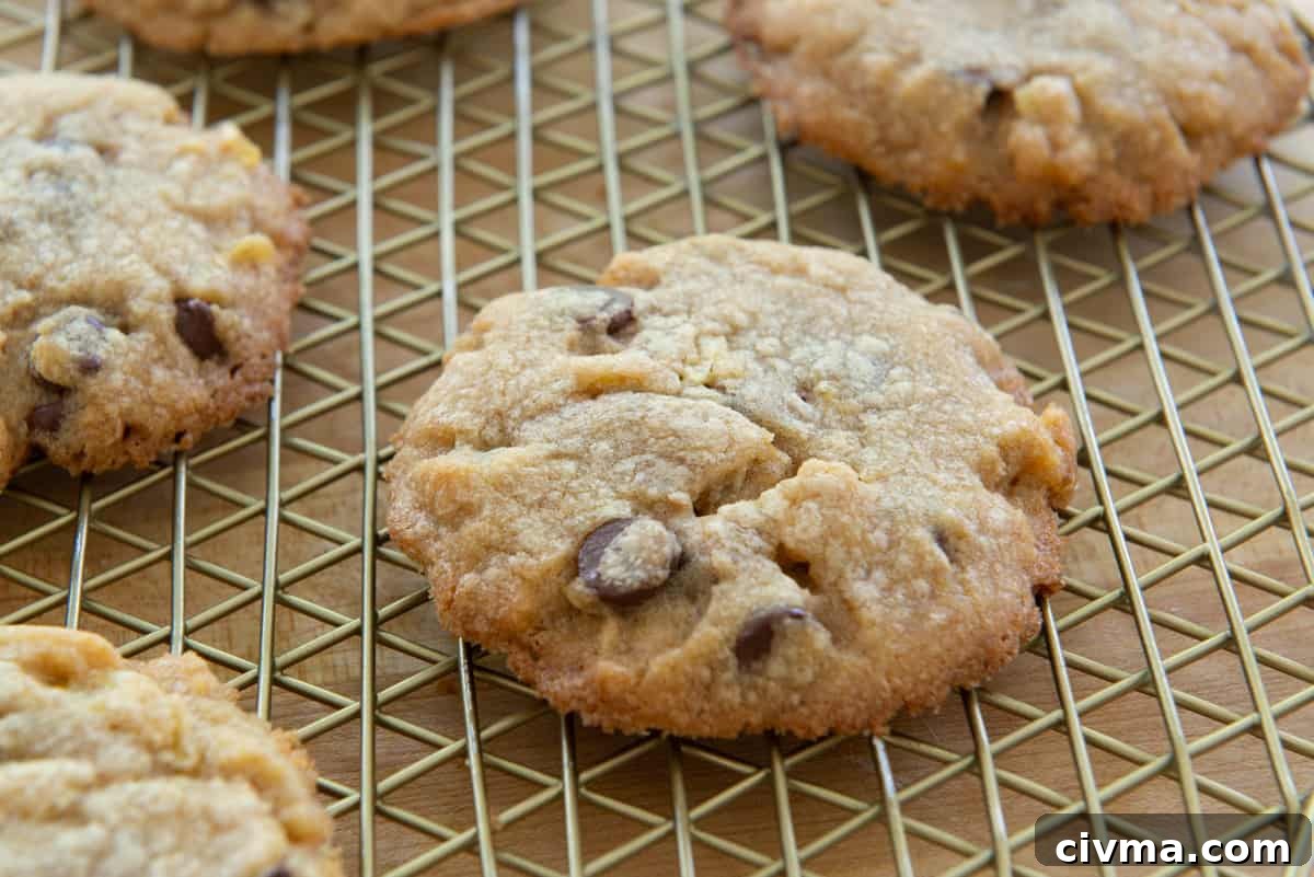Potato Chip Cookies on Wire Rack with Chocolate Chips