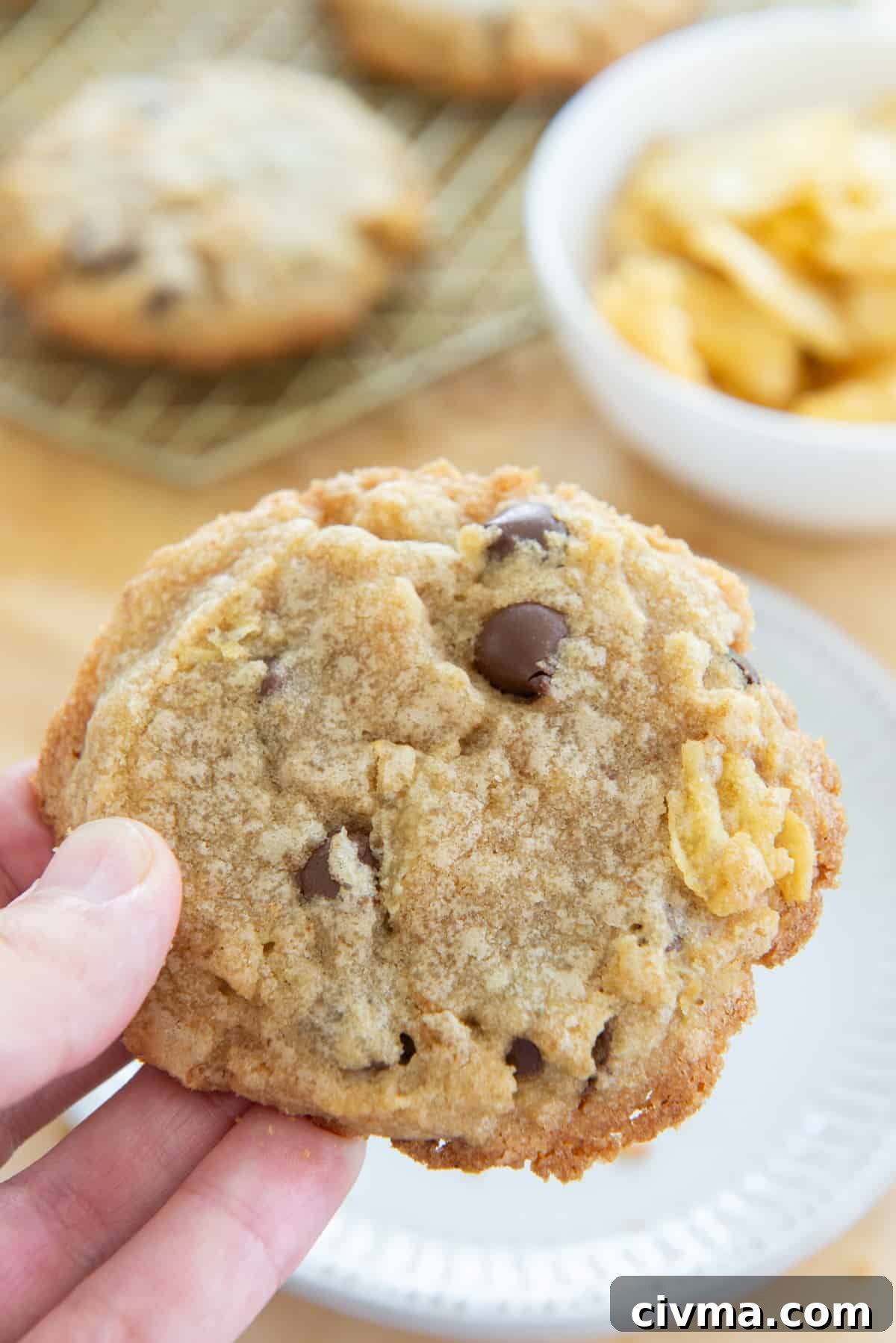 A Potato Chip Cookie Closeup Above Plate