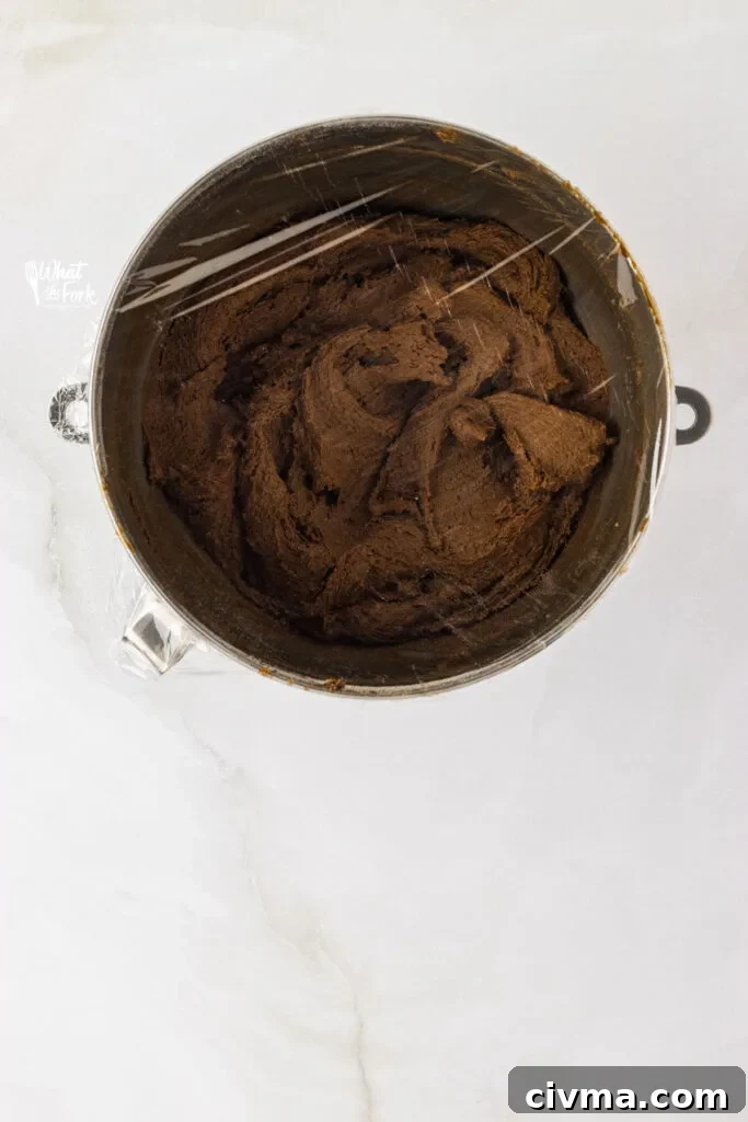 gluten free ginger cookie dough in a silver stand mixer bowl has been covered with plastic wrap and is ready to chill