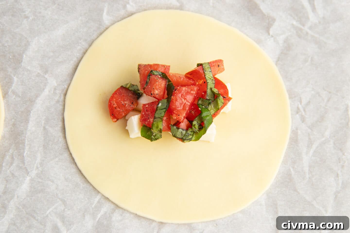 This is a picture of an empanada disc with mozzarella and tomato and basil on top. 