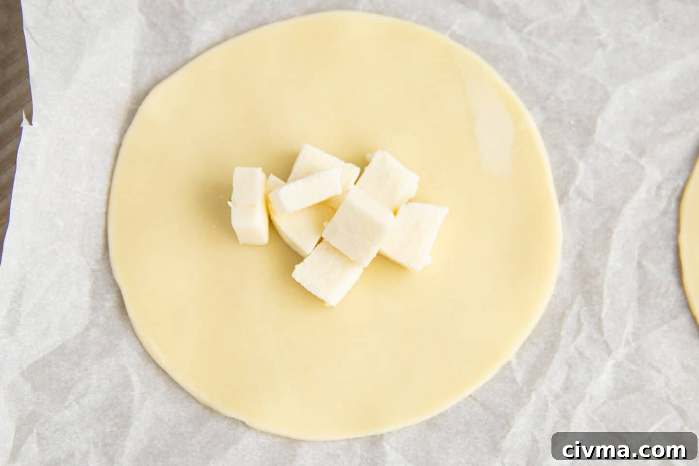 This is a picture of a empanada disc with mozzarella. 