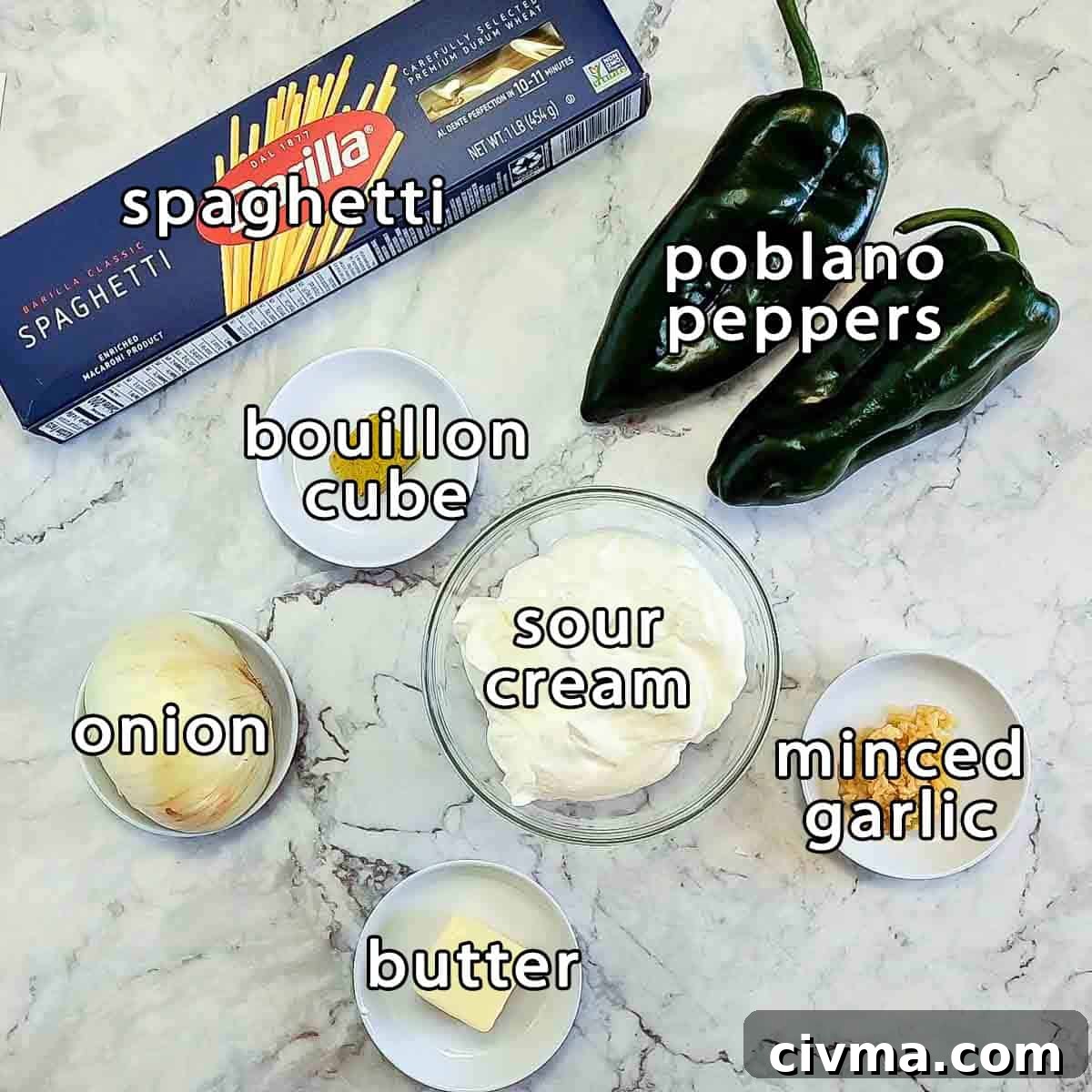 Green Spaghetti with Creamy Poblano Sauce 3 Overhead shot of ingredients - spaghetti, poblano peppers, bouillon cube, sour cream, onion, minced garlic, and butter.