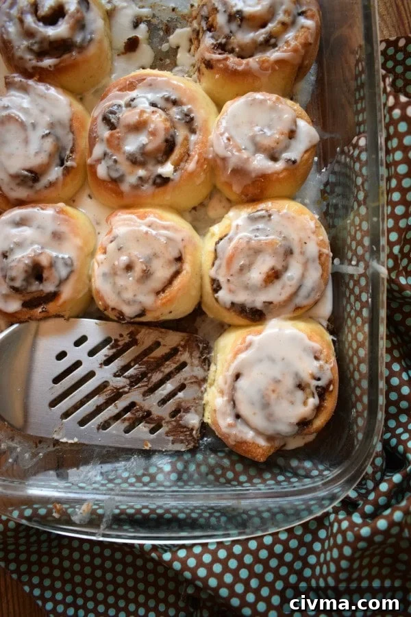 chocolate cinnamon rolls image