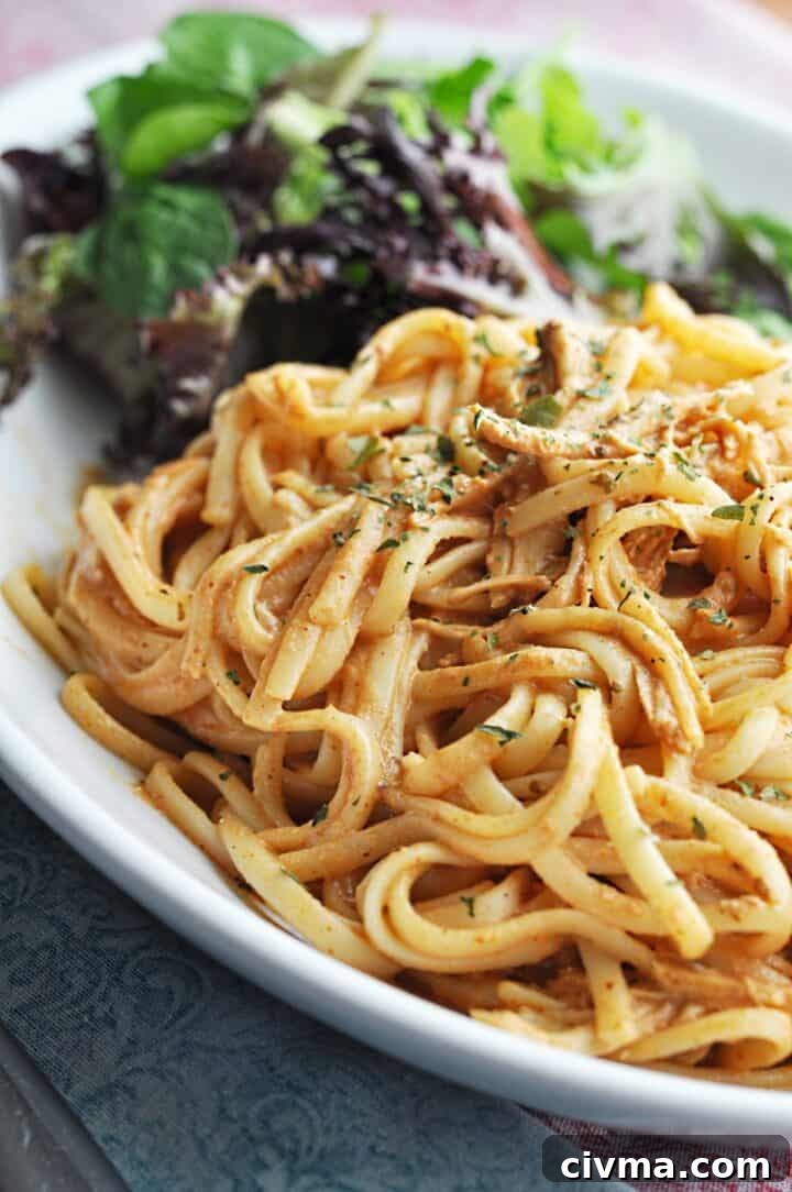 Chicken spaghetti on plate with salad