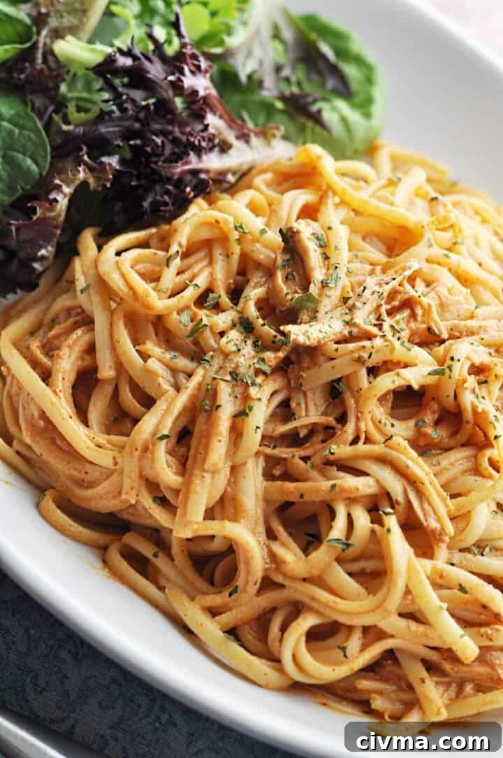Chicken Spaghetti with Tomato Paste and Cheese closeup