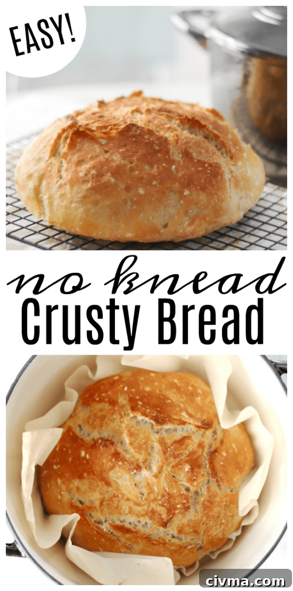 No Knead Crusty Bread Recipe with Video 2 loaf of baked bread on cooling rack