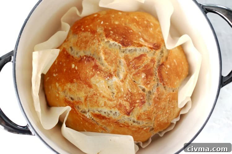 No Knead Crusty Bread Recipe with Video 11 baked crusty no knead bread in dutch oven