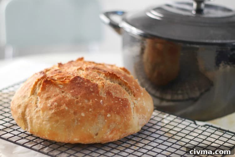 No Knead Crusty Bread Recipe with Video 12 loaf of crusty bread next to dutch oven