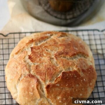 No Knead Crusty Bread Recipe with Video 13 baked bread on cooling rack