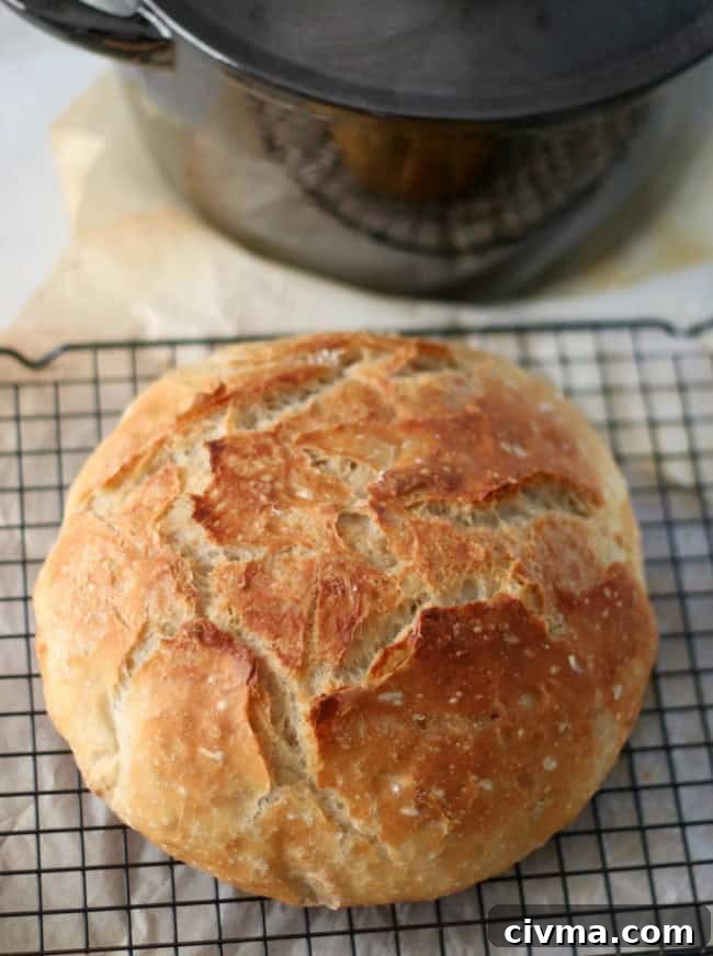 No Knead Crusty Bread Recipe with Video 3 baked bread on cooling rack