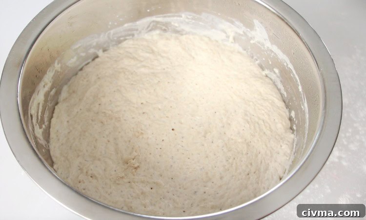 No Knead Crusty Bread Recipe with Video 6 dough in bowl after refrigerating 3 hours