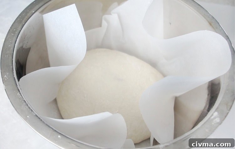 No Knead Crusty Bread Recipe with Video 8 dough inside bowl with parchment paper for rising