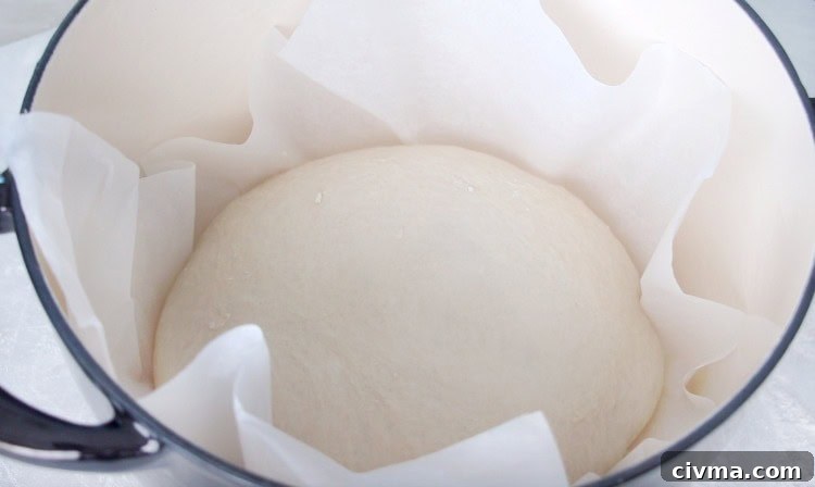 No Knead Crusty Bread Recipe with Video 9 dough in dutch oven with parchment paper ready to bake