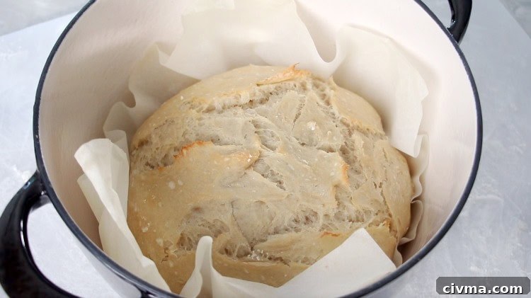 No Knead Crusty Bread Recipe with Video 10 loaf of bread inside dutch oven halfway through baking process