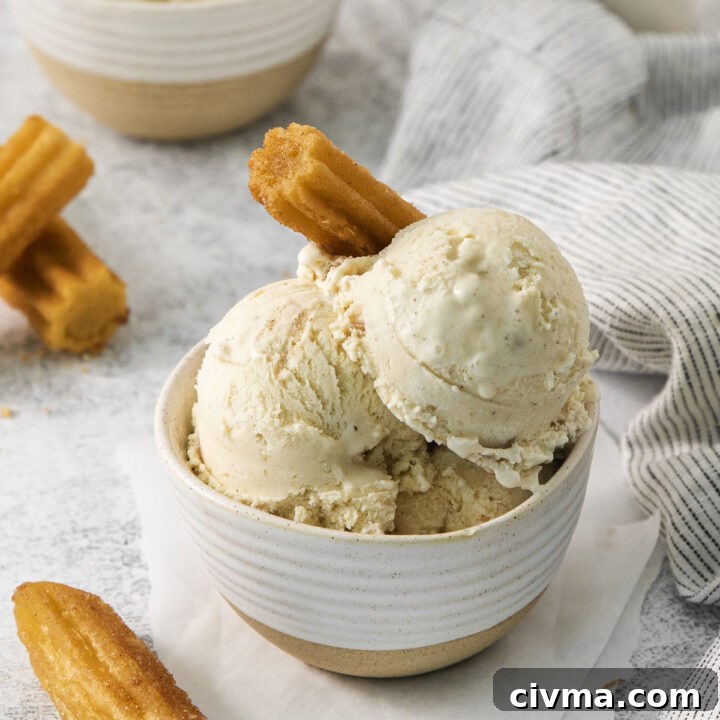 a bowl filled with scoops of cinnamon churro ice cream with a churro as garnish.