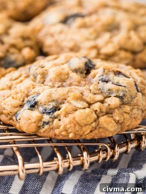 oatmeal raisin cookie on a metal cooling rack