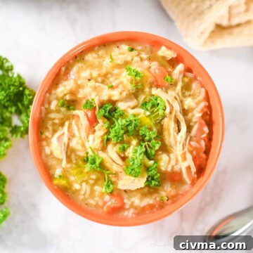 Instant Pot Chicken and Rice Soup