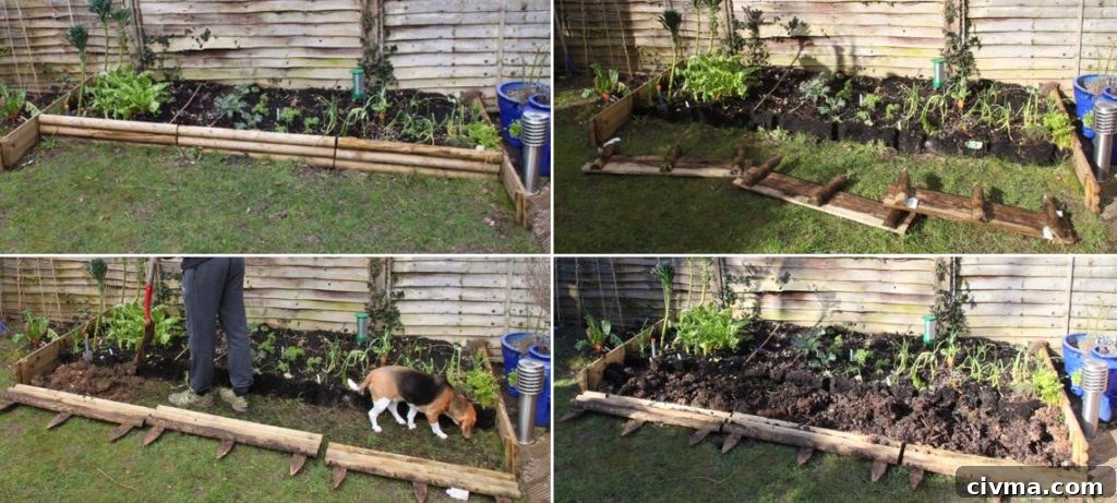 veg patch expansion 001