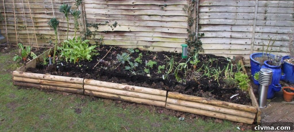 veg patch expansion 002