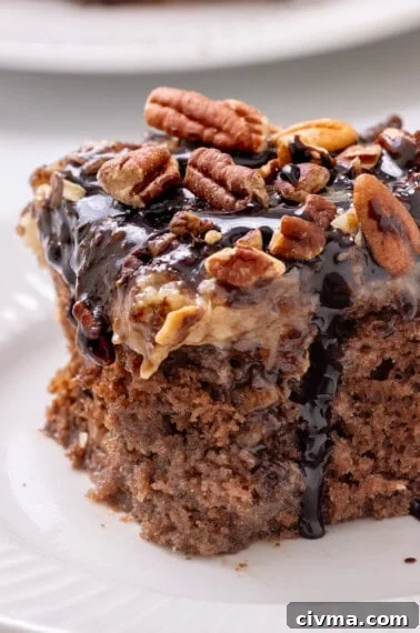 german chocolate poke cake with chocolate drizzle and pecan topping.