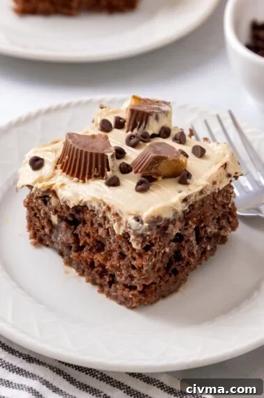 chocolate peanut butter poke cake