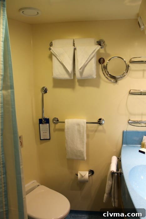 Carnival Breeze stateroom bathroom wtih towels hanging on the wall 
