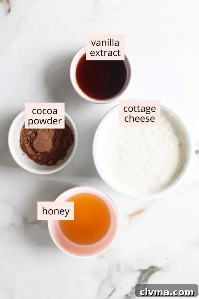 Cottage cheese chocolate mousse ingredients on a countertop with labels.
