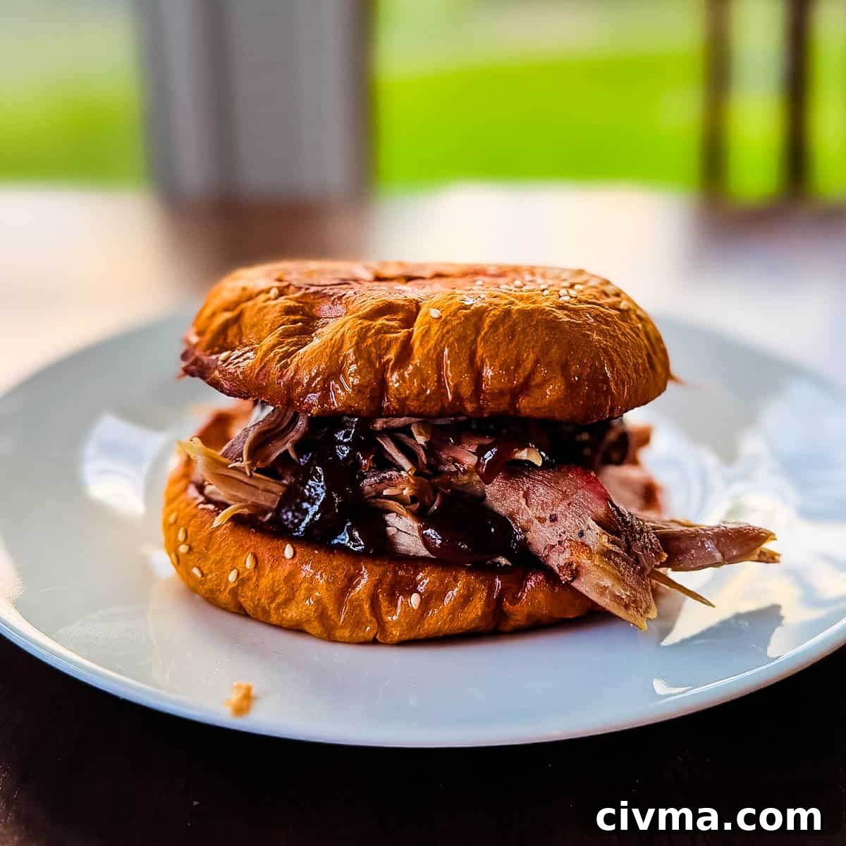 A pulled pork sandwich on a white plate.