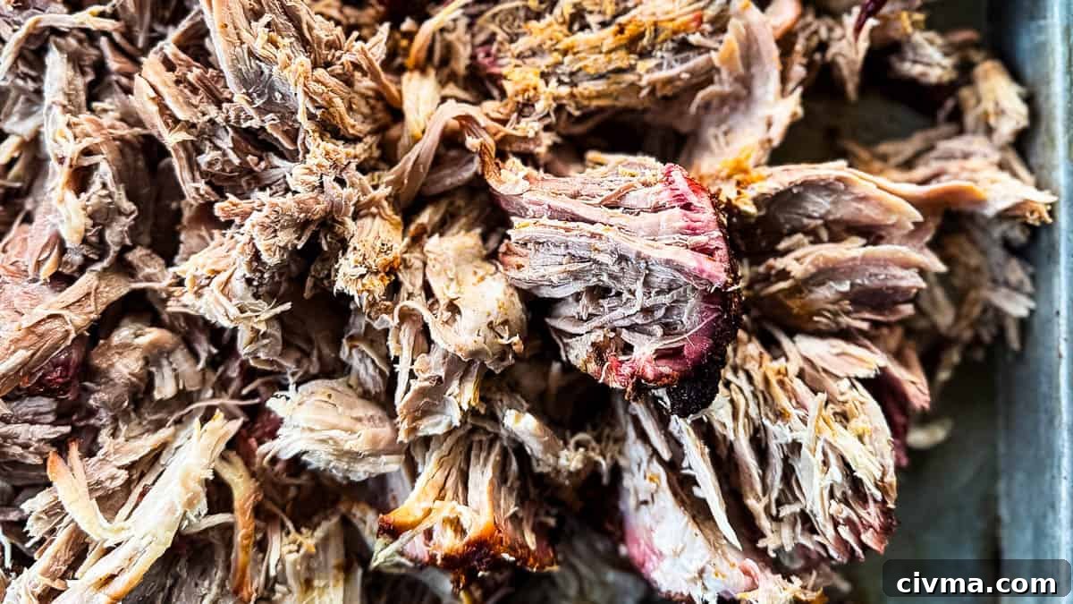 A close up of a pan full of shredded meat.