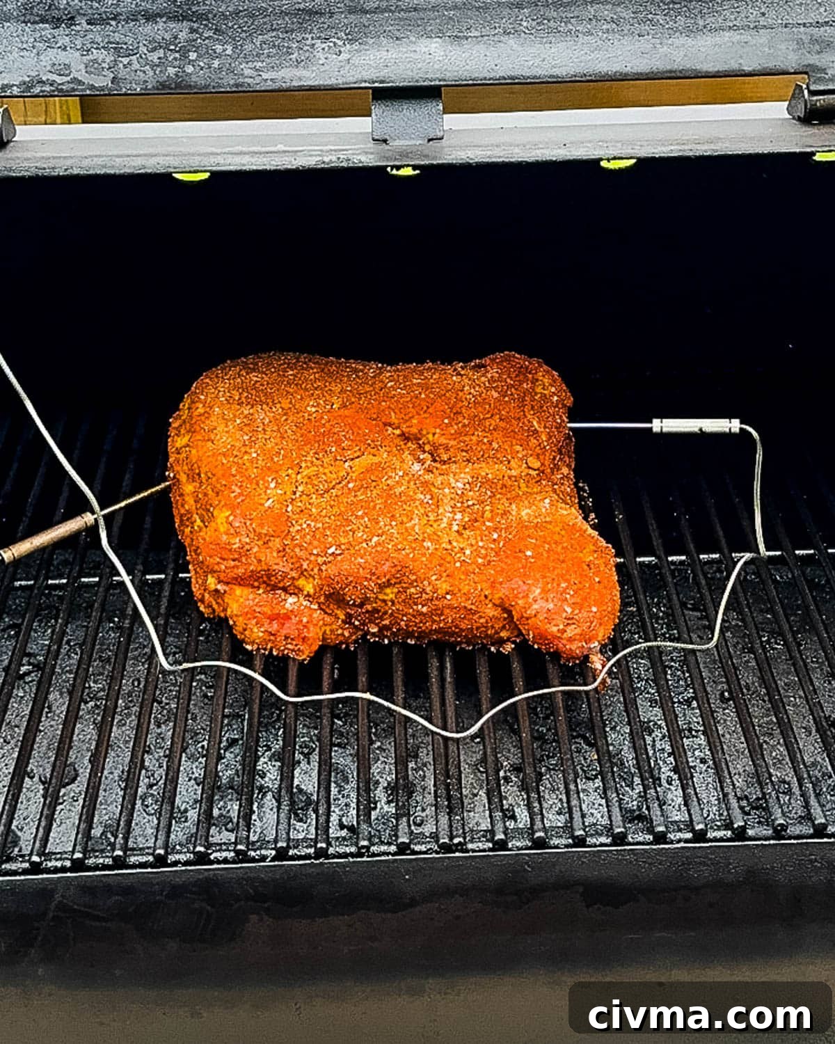 Pork shoulder rubbed and ready to smoke on the pellet grill with temperature probes inserted.